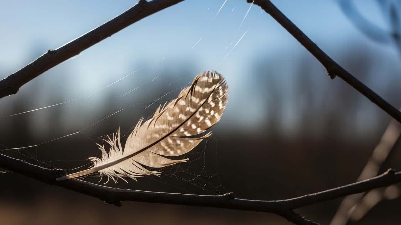 A Delicate Feather Caught in a Web, Highlighting the Intricate Balance of Nature and the Fragility of Life Against a Soft Background of Blue and Brown