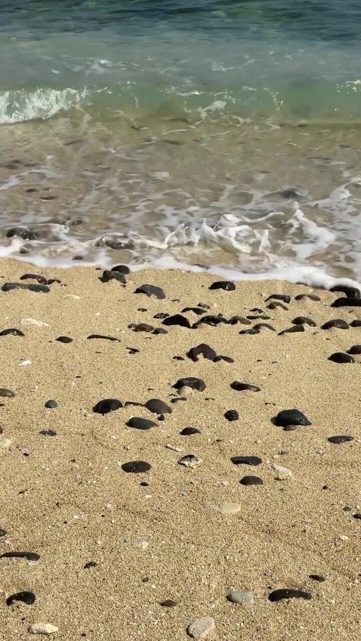 Dolci onde dell'oceano che si riversano su sabbia e ciottoli su una spiaggia soleggiata