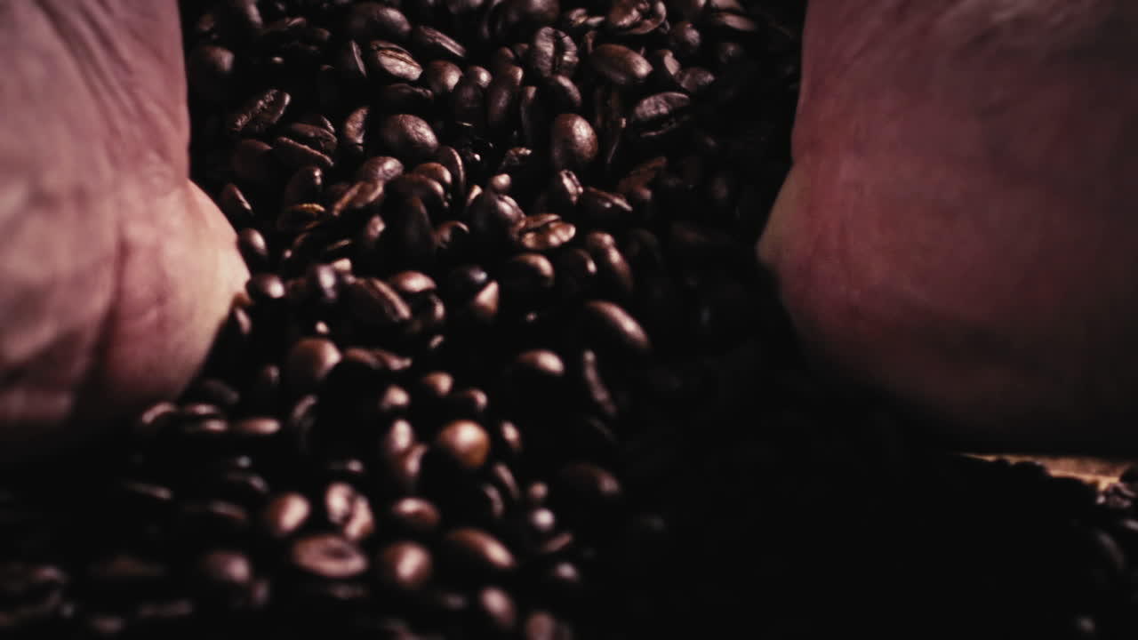 Ripresa al rallentatore di due mani maschili che raccolgono chicchi di caffè appena tostati