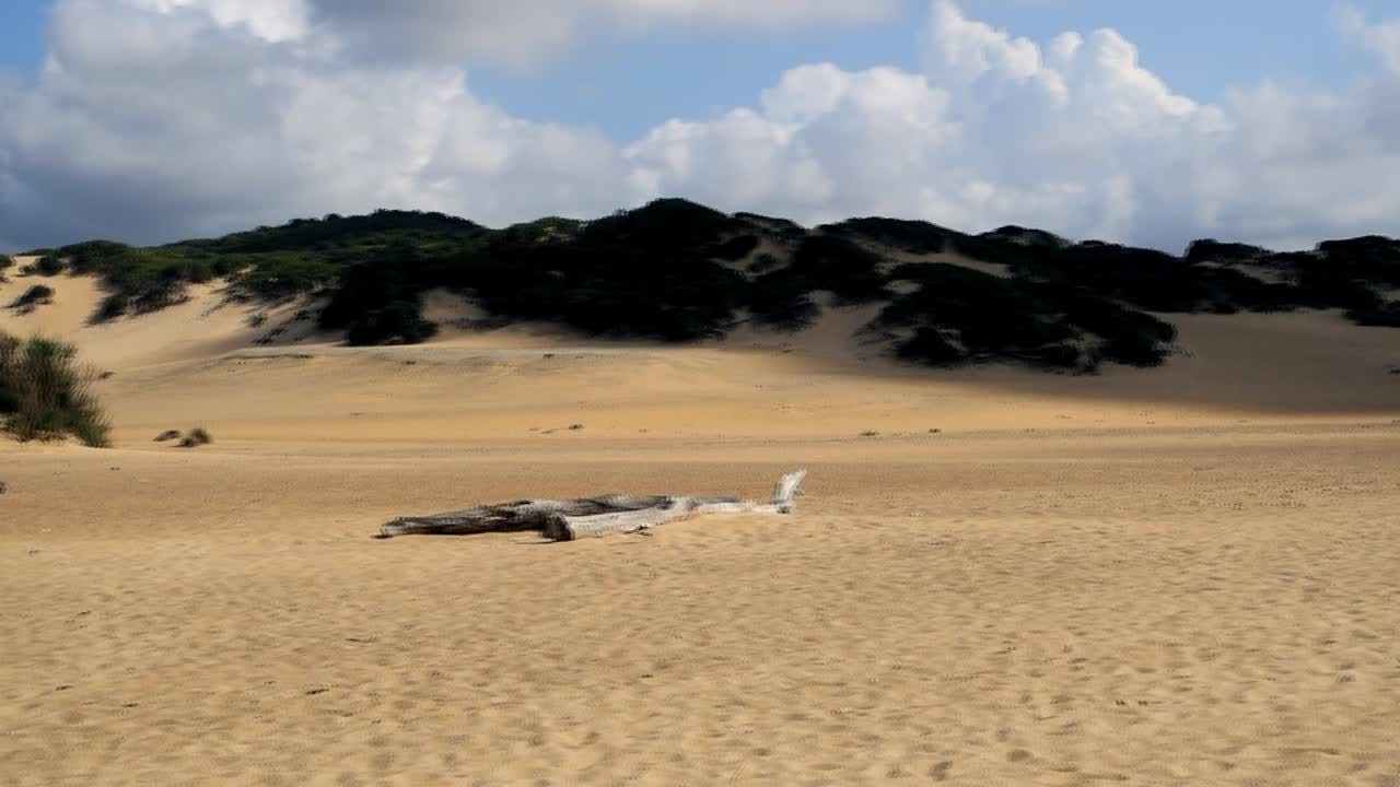 playa equipada en las dunas de piscina, en cerdeña
