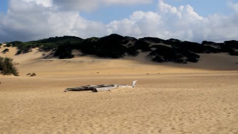 Ausgestatteter-Strand-An-Den-Dünen-Von-Piscina,-In-Sardaigna