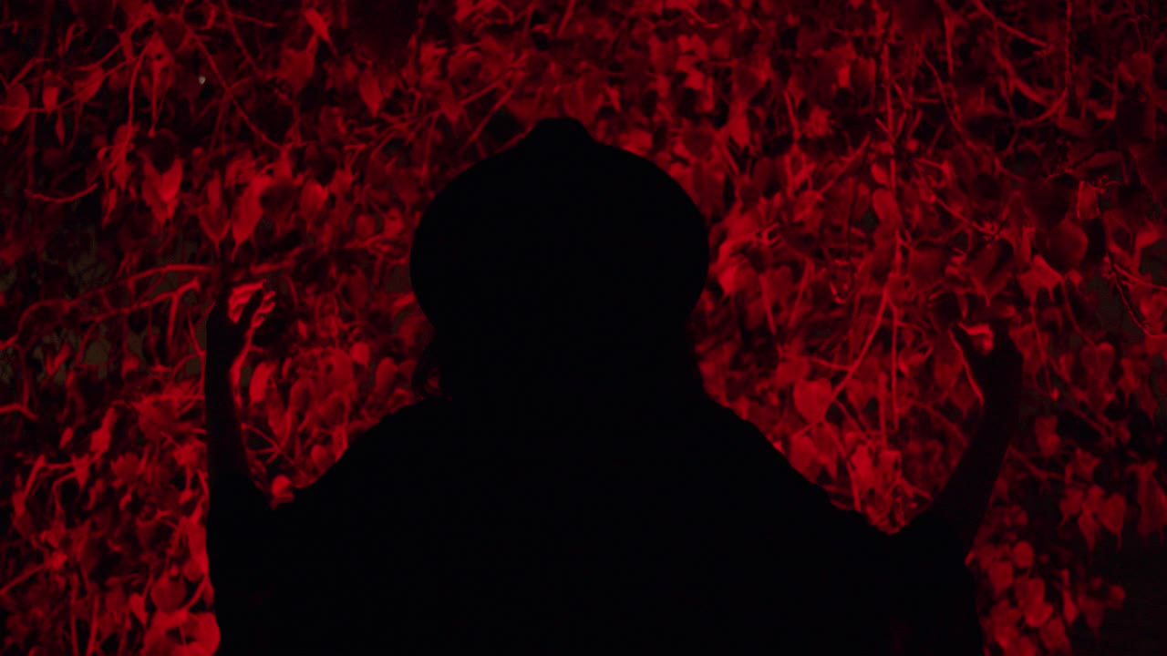 의상을 입은 여성의 소름 끼치는 그림자