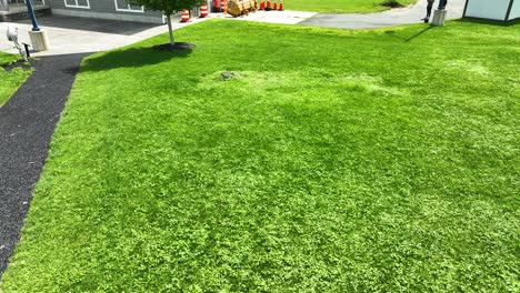 clover filled grass at a rest stop via a drone