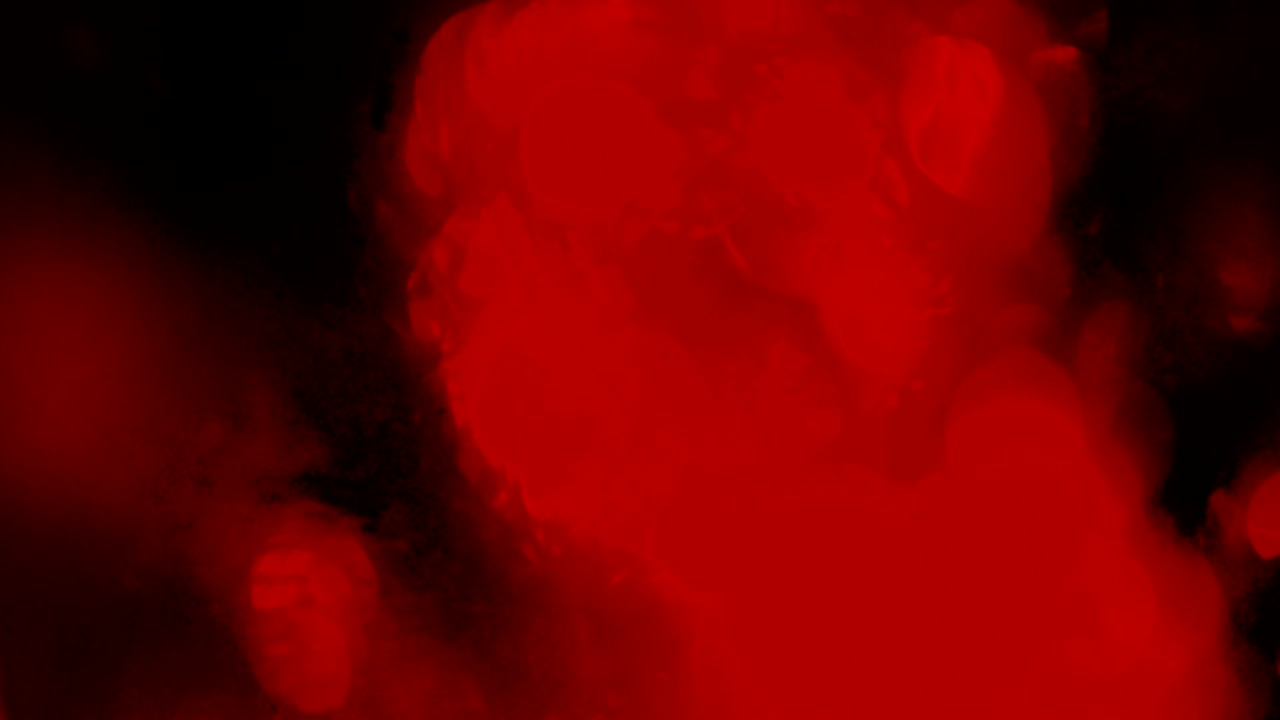 크리스마스 트리 및 크리스마스 조명, 메리 크리스마스 및 행복한 휴일, 장식 된 크리스마스 나무