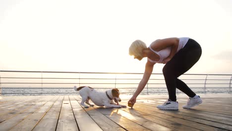 young woman training cute dog jack russel near the sea