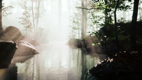 pond-in-a-forest-with-fog