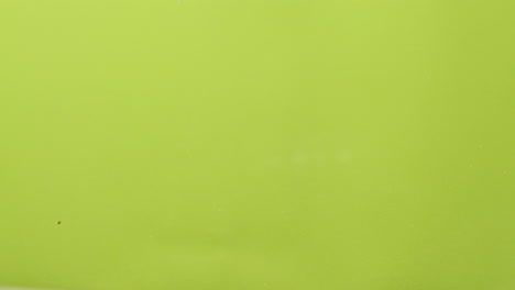 avocados in water splash
