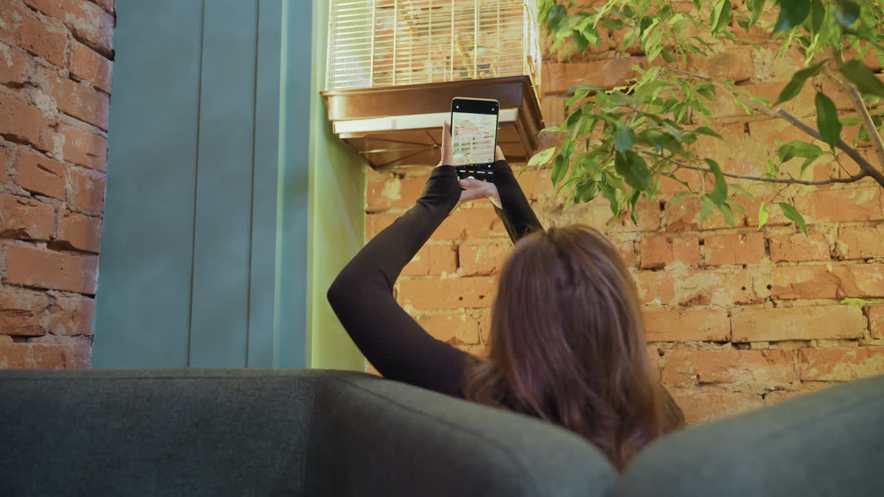 Woman with curly hair standing near cushion holds phone up snapping bird flying inside white cage mounted on rustic brick wall, following movement with focused gesture amid cozy green indoor setting