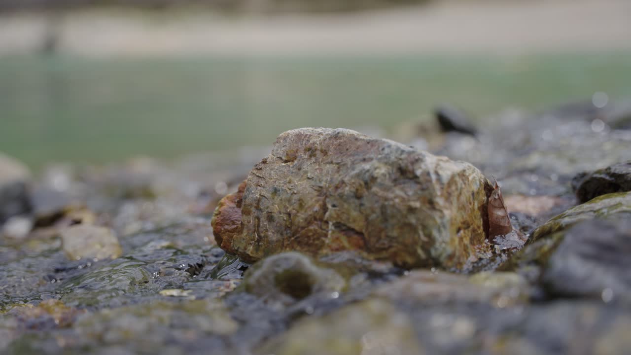 물이 부드럽게 흐르는 강물에 있는 돌, 자연 배경
