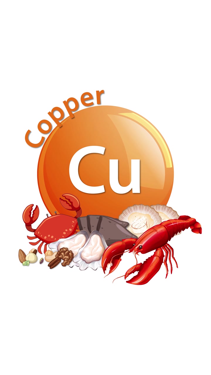 Un'icona di un elemento di rame arancione si anima con la parola 'Copper' ed è circondata da frutti di mare e noci illustrati su uno sfondo bianco pulito