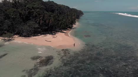costa rica beach - tranquil view of a tropical island surrounded by crystal clear ocean waters with soft rolling waves touching the shoreline - aerial shot