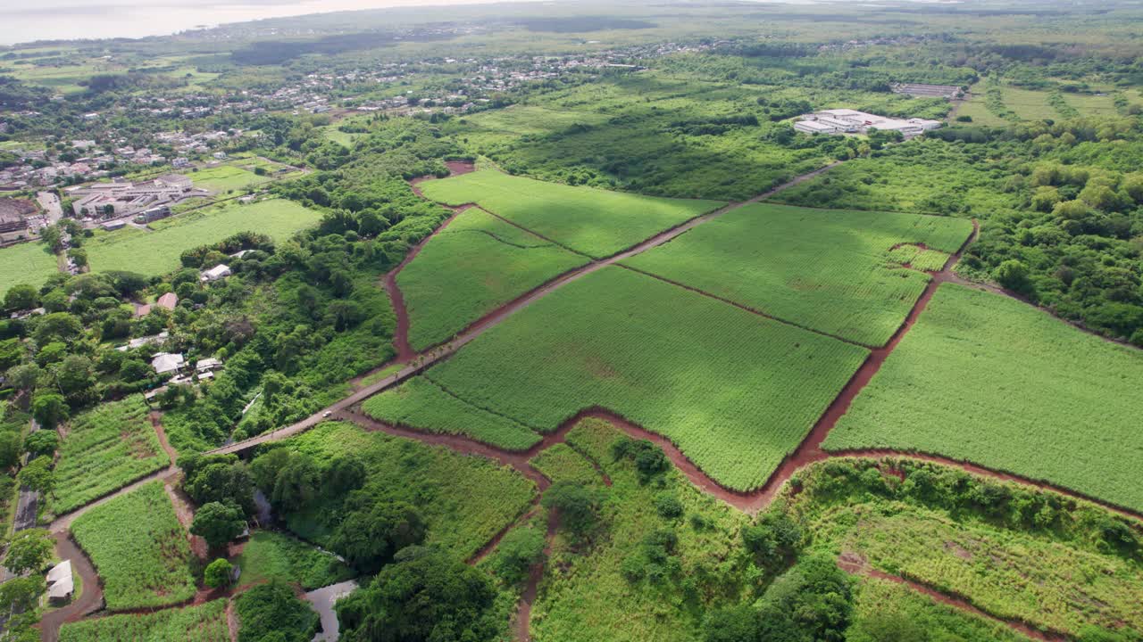 Lush sugarcane fields near a rural town, under a cloudy sky, greenery all around, aerial view