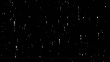 digital animation of letters, characters and particles moving in matrix style, matrix rain effect, dark background good for overlays, digital world concept