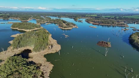 aerial de las islas del lago mulwala y muchos árboles muertos y campos agrícolas más allá cerca de mulwala