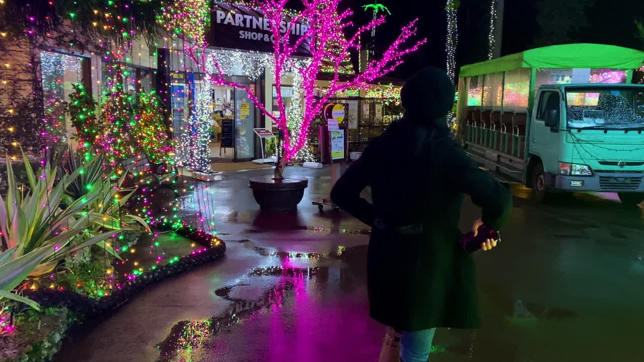 4khd 크리스마스 2020 식물원 오키나와 일본-11