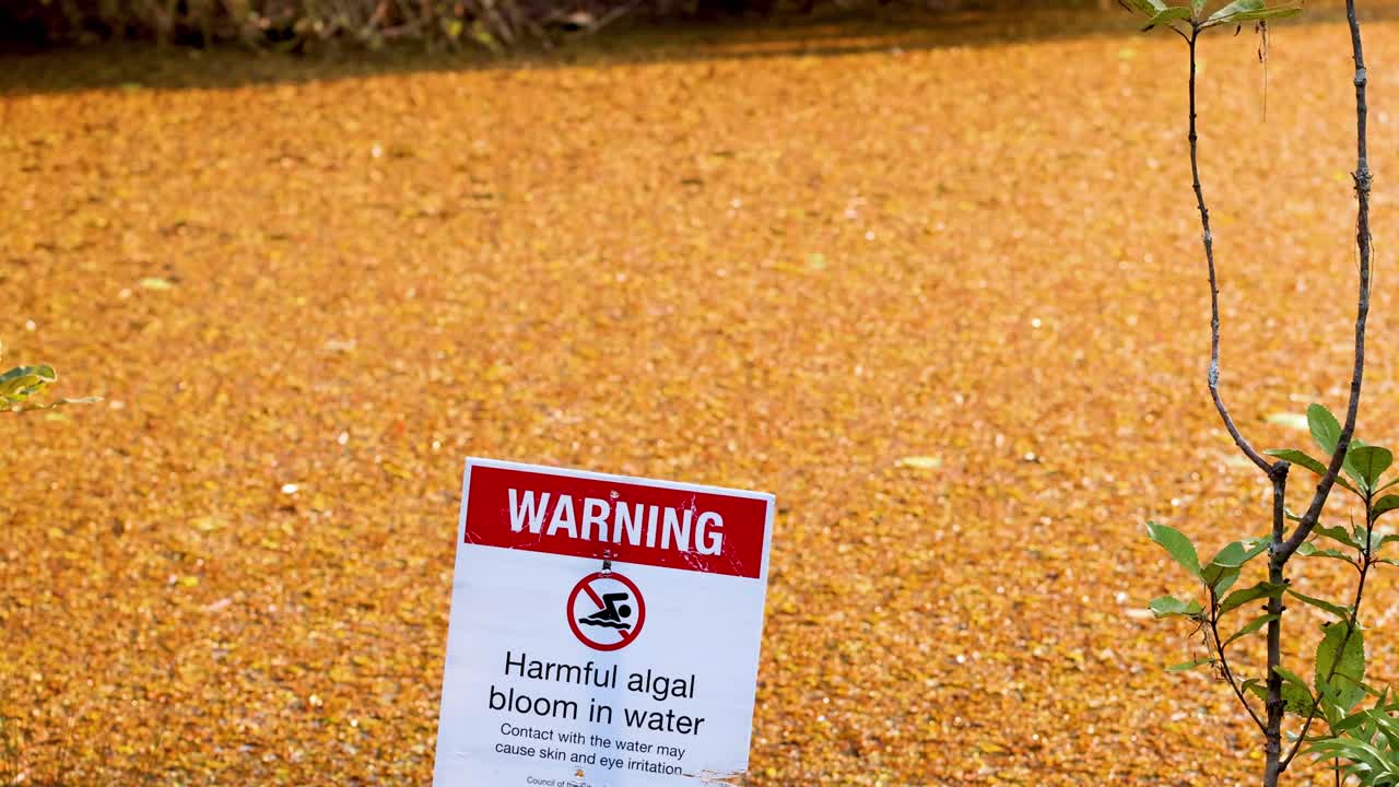 유해한 해조류 꽃에 대한 경고 표지