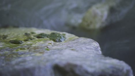 otra tarde tomas panorámicas pacíficas de las piedras de la orilla y olas un poco más pequeñas de zamárdi, lago balaton