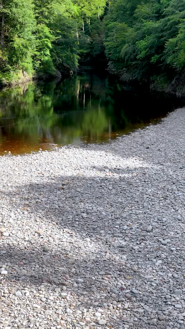 Una telecamera drone scende dolcemente da una sponda rocciosa del fiume verso un tranquillo fiume boschivo, con riflessi luminosi della luce del giorno.