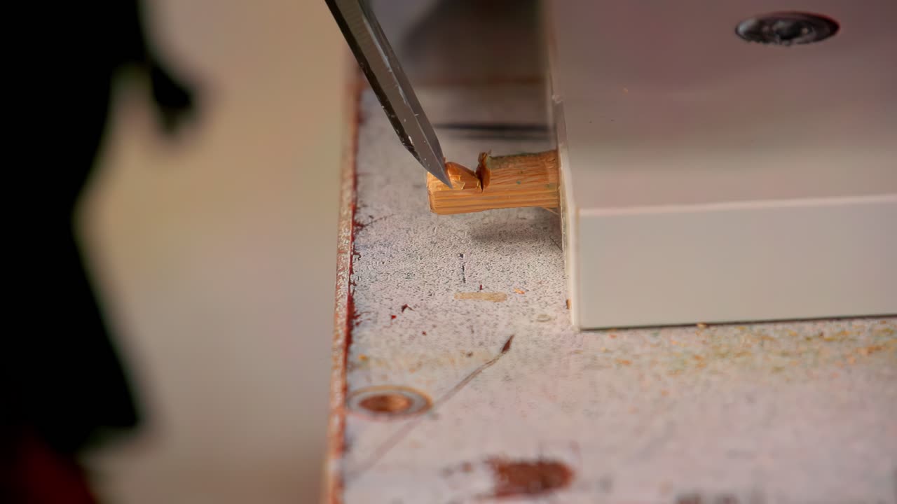 Close up of a wood chisel trimming a wooden dowel flush with the surface in slow motion. Manual woodworking detail with wood shavings in a workshop setting