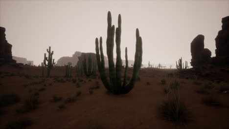 Sand-dunes-against-sky-before-sunrise