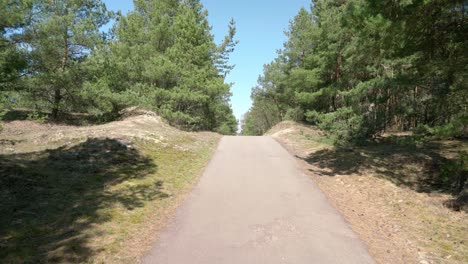 asphalt road in the middle of forest in smitlyne