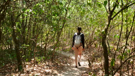 backpacking hispanic woman exploring forest in swimwear, follow shot