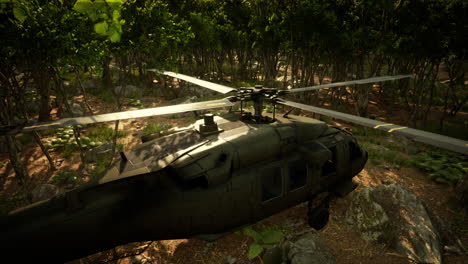 military helicopter in deep jungle