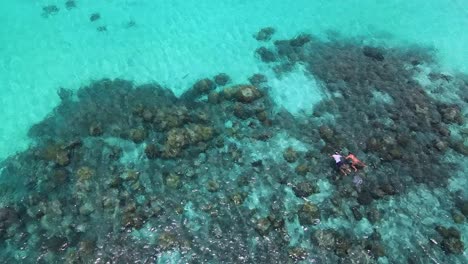 seychelles la digue snorkeling couple aerial drone2.mp4