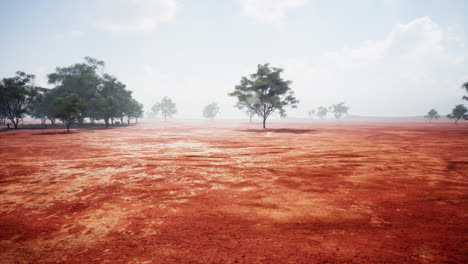 paisaje desértico de tierra roja con árboles escasos y niebla