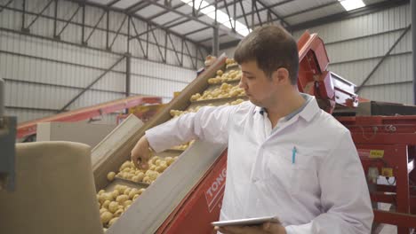 ingeniero de alimentos trabaja en una instalación de almacenamiento de patatas.