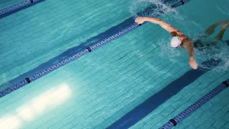 swimmer training in a swimming pool