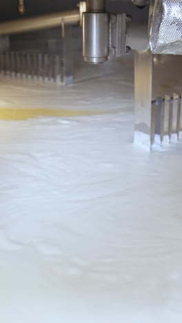 preparation of dairy products. special machine for dairy products preparation