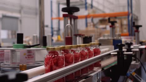 Automated-gummy-vitamin-supplement-process---bottles-moved-on-conveyor-belt