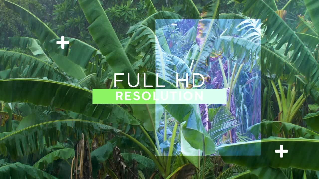 Beach Yoga and Sunset Views