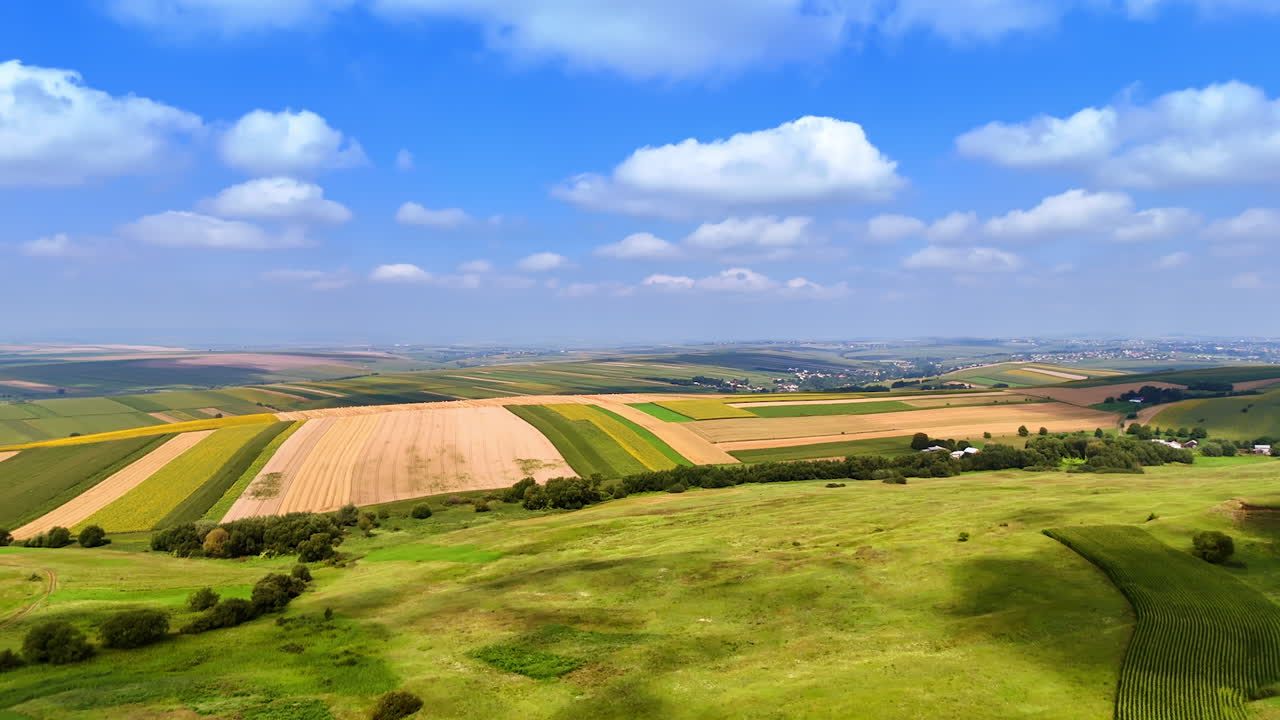 Expansive farmland with blue skies in rural landscape. Vibrant fields under a bright sky showcase nature's beauty and the resilience of agriculture