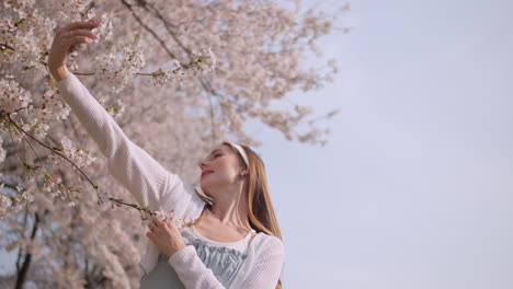 a girl with mobile phone taking selfie on sakura blooming flower trees at yangjae citizen's forest park in seocho, seoul city, south korea