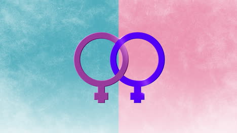 animation of two linked purple and pink female gender symbols, identifying lesbian, on pink and blue