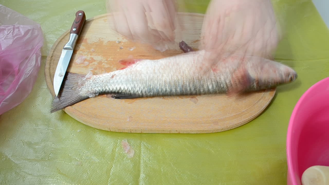 Cutting of fish. Timelapse of process of cutting of fish