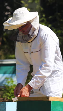 Beekeeper holds honey cell with bees. Beekeeper in protective wear working in his apiary. Vertical video