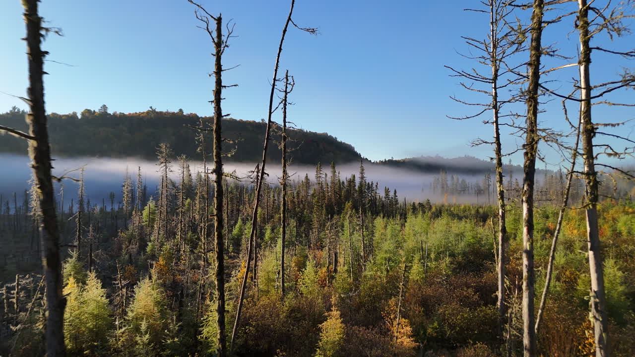 Aerial view of autumn forest and mountains in vivid colors with morning fog in Mauricie, Quebec, Canada. Soft sunlight illuminates the colorful foliage over peaceful wilderness