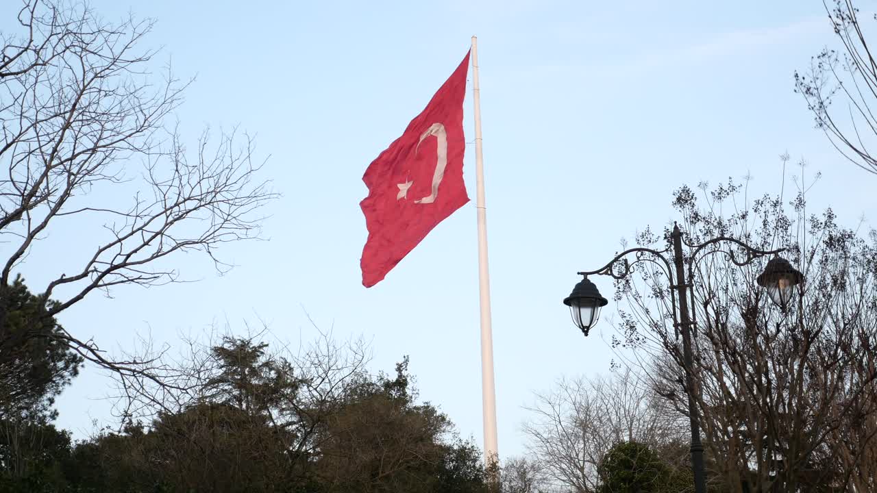 터키 발이 나무 위에 날아다니고 있습니다.