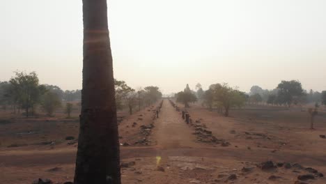 Flying-backwards-between-trees-at-Vat-Phou-temple-complex-Laos,-aerial