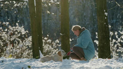 woman giving a treat to her dog while walking in a snowy park on a clear winter day