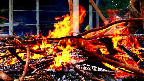 primer plano de una llama de fuego ardiente con leña quemada.
