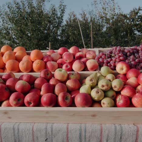 ripe fruit on the counter of the farmers market 2