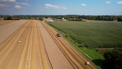 Encima-De-La-Cosecha:-Cosechadora-Roja-En-Un-Mar-Dorado-De-Trigo-En-Polonia,-La-Perspectiva-De-Un-Dron