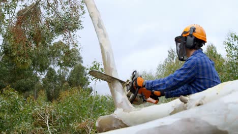 lumberjack cutting tree branch in the forest 4k