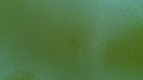 drone floating over  an emerald pond