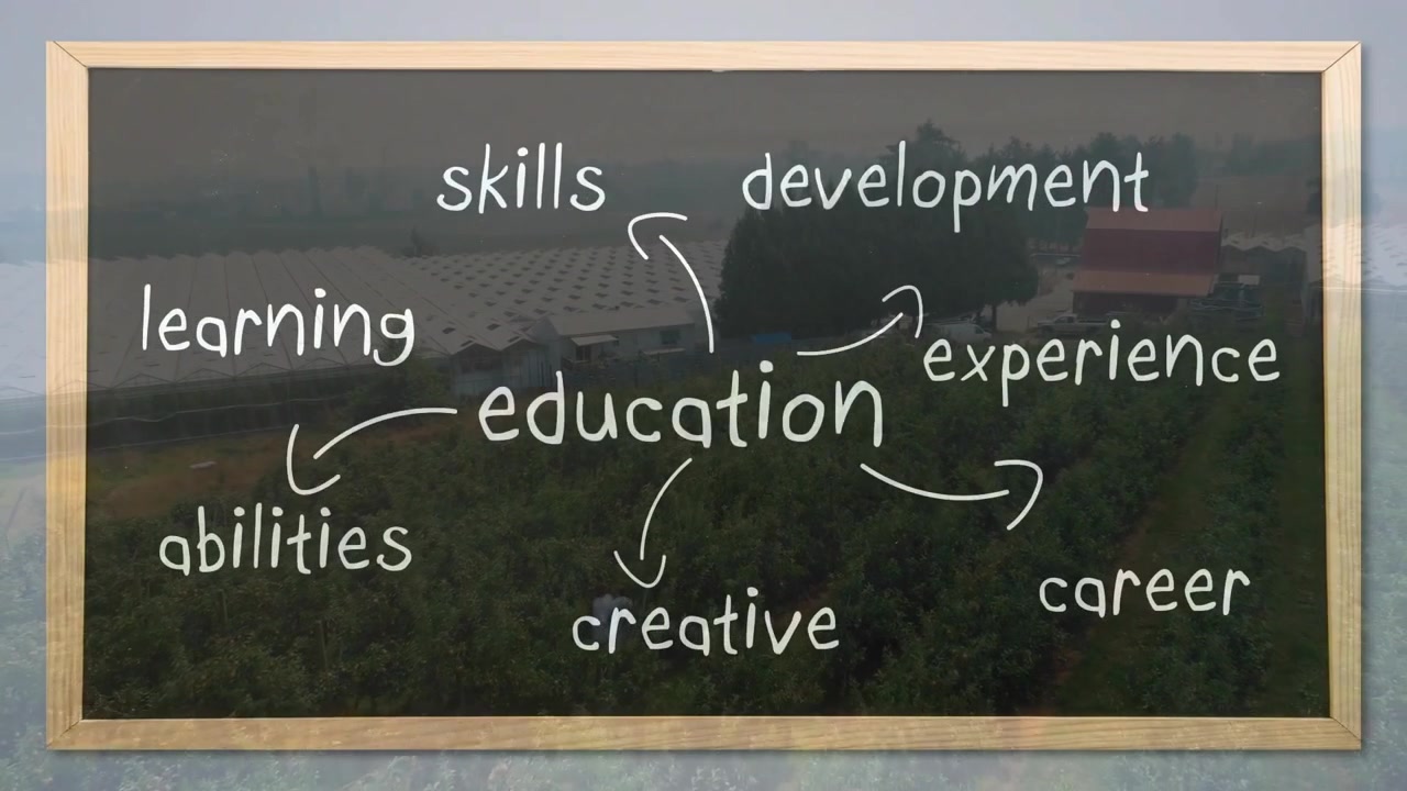 Drone capturing team walking orchard launching text labels evolving into education board mind map