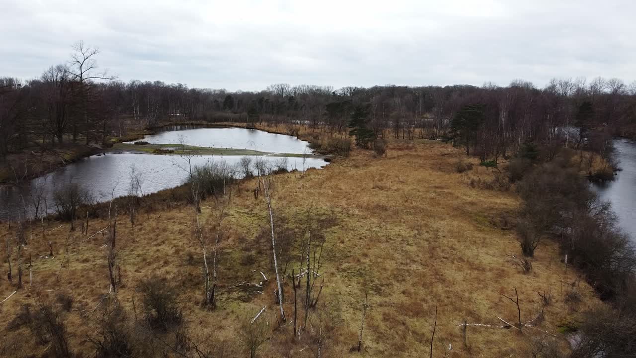 volando sobre humedales belgas en mol, antwerpen